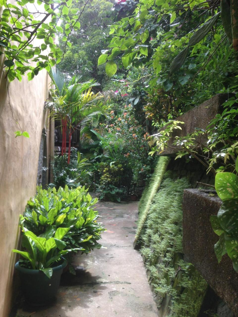 Villa Mango B&B Nosara Dış mekan fotoğraf